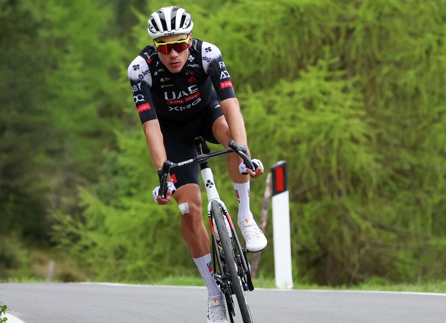 Испанский велогонщик Аюсо снялся с «Джиро» после того, как его ужалила пчела