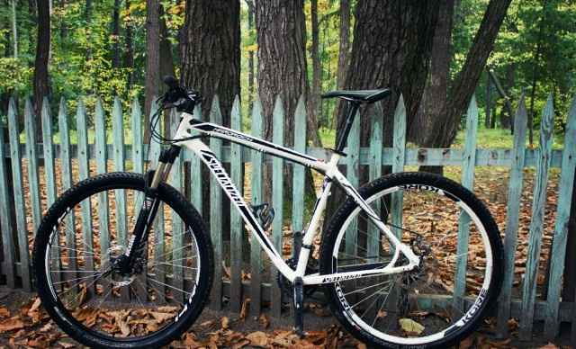 Найнер Specialized 29"