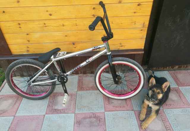 Bmx radio darko