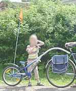 Велосипедный прицеп для детей