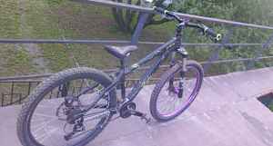 Norco Bigfoot 2009 дёрт/стрит