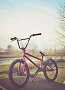 Commencal Absolut BMX 2011