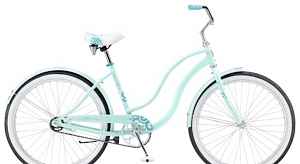 Schwinn Slik Chik