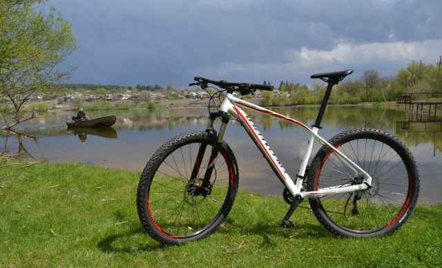 Specialized Rockhopper comp 29" 2015