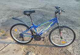 Altair MTB HT 24