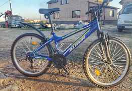 Altair MTB HT 24