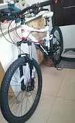 Mongoose salvo comp 13