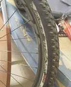 29 покрышки specialized