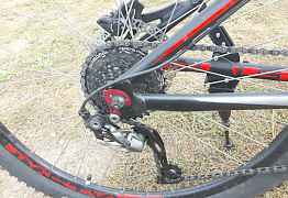 Bulls harptail disc 3