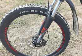 Bulls harptail disc 3