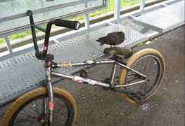 BMX Radio Valac