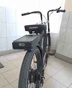 Форд Pedego