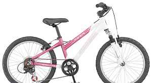 Schwinn Mesa Girls 20