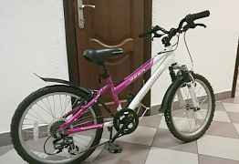 Schwinn Mesa Girls 20