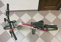 Schwinn Mesa Girls 20