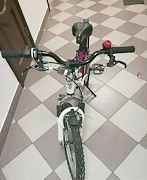 Schwinn Mesa Girls 20