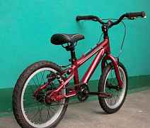 Schwinn Mesa Boys 16