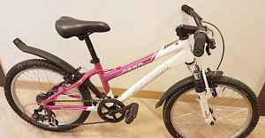 Велосипед Schwinn Mesa 20''