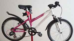 Велосипед Schwinn Mesa 20''