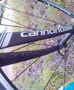 Cannondale caad 8 шоссейник