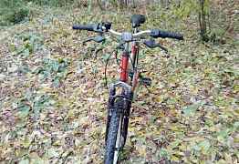 Горный велосипед Motion mountainbike