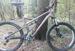 Specialized Stumpjumper Pro L