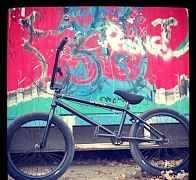 BMX WTP envy 2013