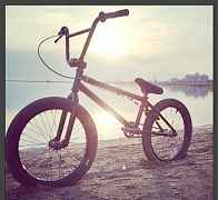 BMX WTP envy 2013