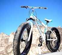 Fatbike