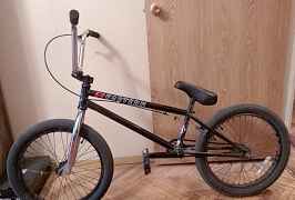 Eastern Nightwasp BMX