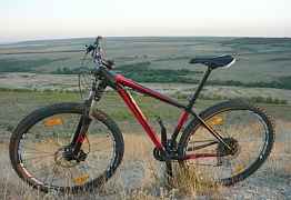 Specialized Rockhopper Comp 29 2014