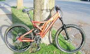 2008 norco burnt orange