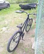 Giant stp