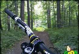 Nukeproof scalp 2014