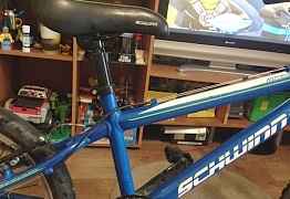 Schwinn mesa boys 20