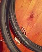 Schwalbe rabid rob 29.2.25