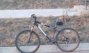 Mongoose Rockadile ALD