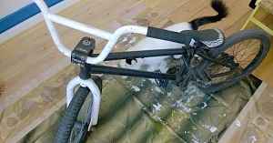 BMX bone "ACE"