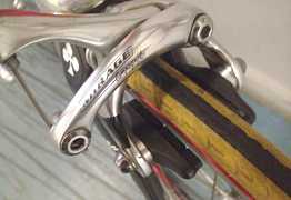 Colnago