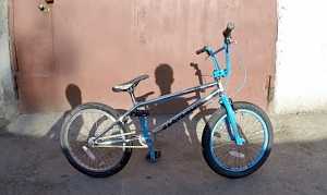 BMX Eastern Wolfdog