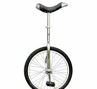 Unicycle