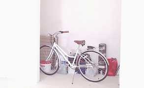 Schwinn Cream White