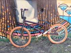 BMX W. T. P juctice