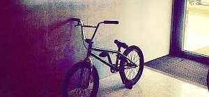 BMX eastern найт wasp