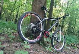 SantaCruz Chameleon 2011, size L, 1х10