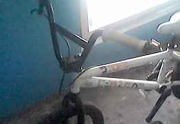 BMX Bock